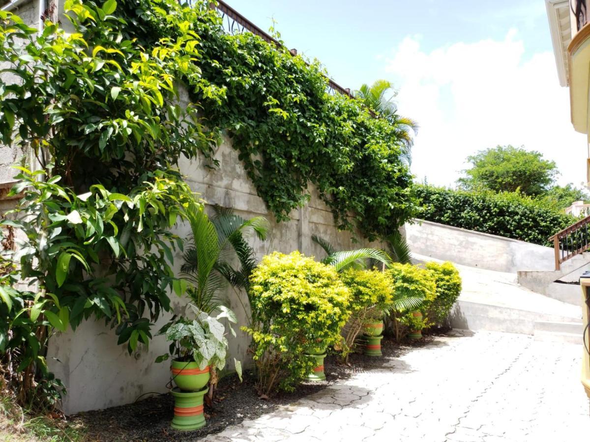 Keep Cool Guesthouse Gros Islet Extérieur photo