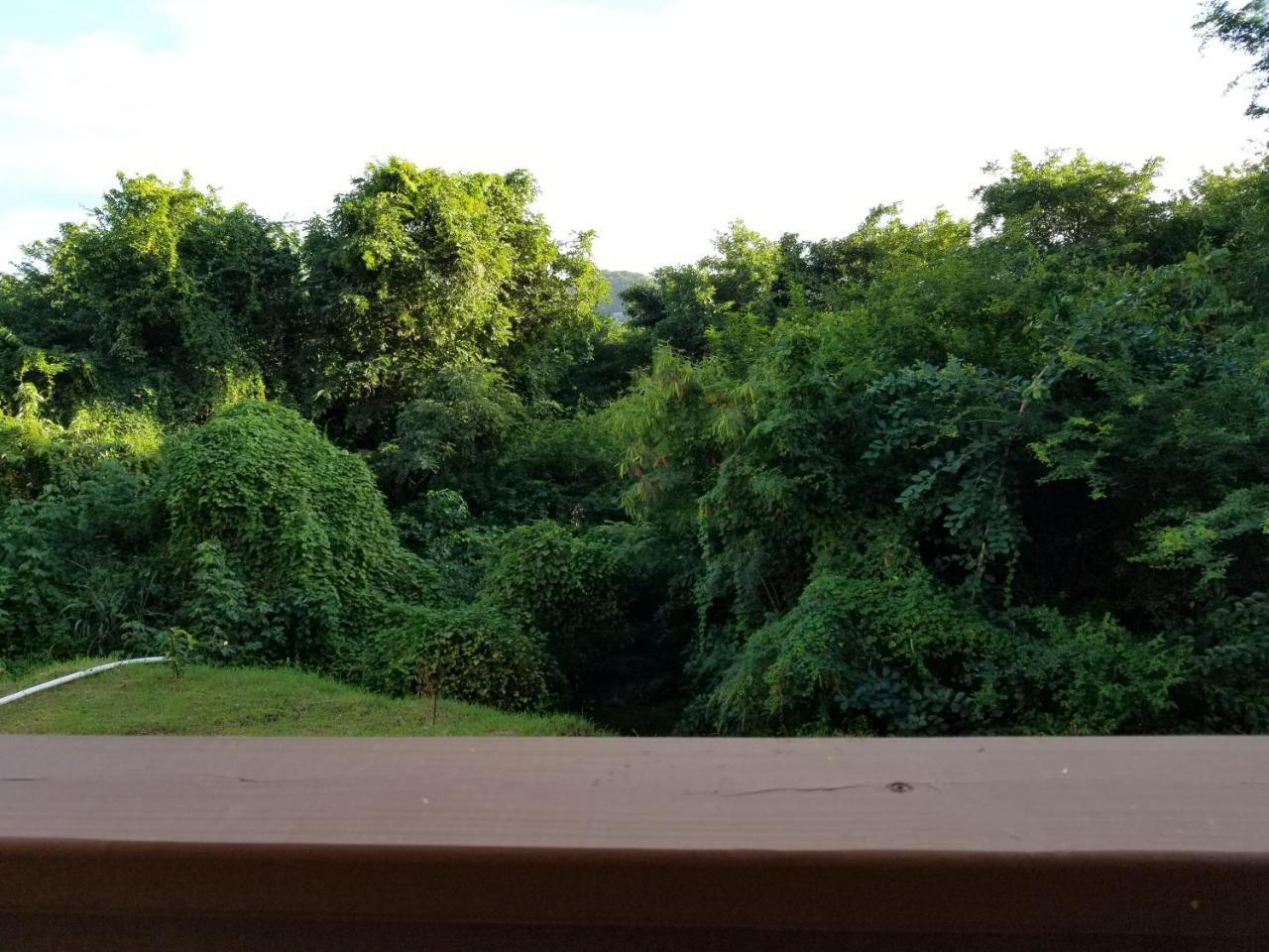 Keep Cool Guesthouse Gros Islet Extérieur photo